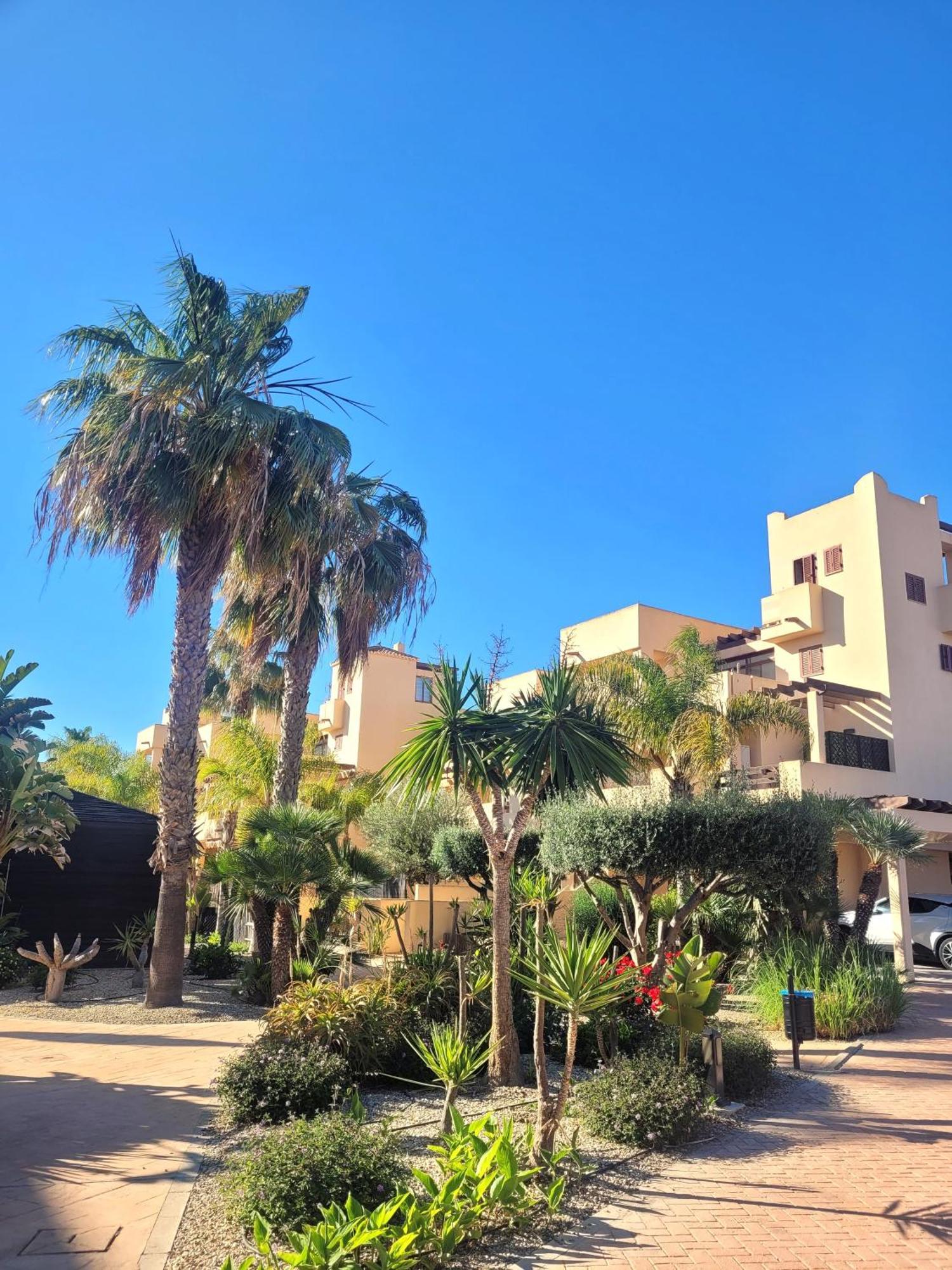 Los Amarguillos Bajo Con Una Terraza Espectacular Al Lado De La Playa Y Con Acceso Directo A La Piscina! מראה חיצוני תמונה